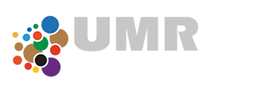 UMR INNOVATION